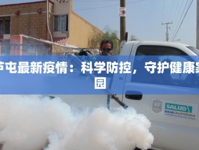 芦屯最新疫情：科学防控，守护健康家园