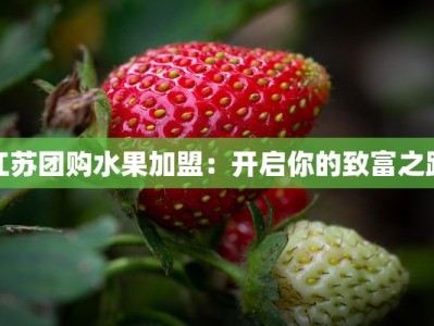 江苏团购水果加盟：开启你的致富之路