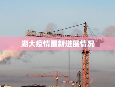 拉萨疫情进出最新：安全出行，畅享高原之旅