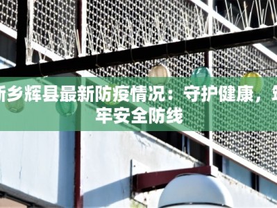新乡辉县最新防疫情况：守护健康，筑牢安全防线