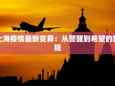上海疫情最新变异：从警醒到希望的旅程