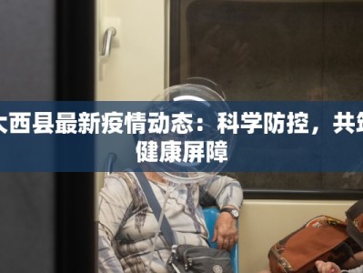 大西县最新疫情动态：科学防控，共筑健康屏障