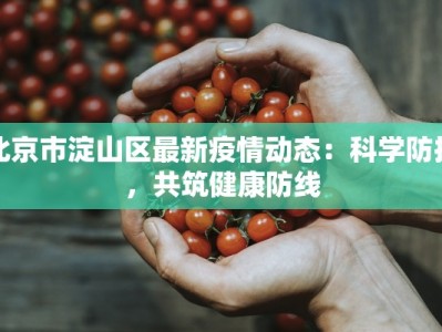 北京市淀山区最新疫情动态：科学防控，共筑健康防线