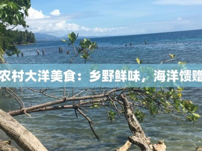 农村大洋美食：乡野鲜味，海洋馈赠