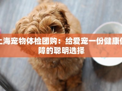 上海宠物体检团购：给爱宠一份健康保障的聪明选择