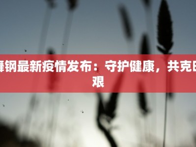 舞钢最新疫情发布：守护健康，共克时艰