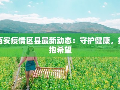 西安疫情区县最新动态：守护健康，拥抱希望