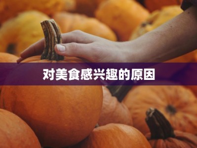对美食感兴趣的原因