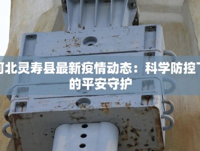 河北灵寿县最新疫情动态：科学防控下的平安守护