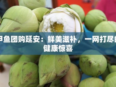 甲鱼团购延安：鲜美滋补，一网打尽的健康惊喜