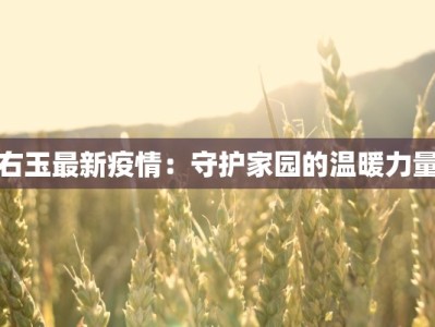右玉最新疫情：守护家园的温暖力量
