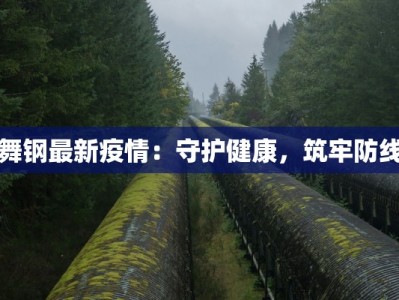 舞钢最新疫情：守护健康，筑牢防线