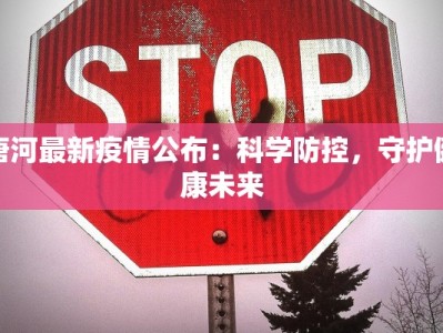 唐河最新疫情公布：科学防控，守护健康未来