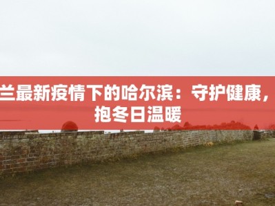 舒兰最新疫情下的哈尔滨：守护健康，拥抱冬日温暖