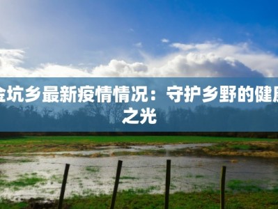 金坑乡最新疫情情况：守护乡野的健康之光