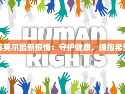 探秘雷州：小吃天堂的味蕾狂欢