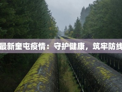 包钢最新疫情：守护钢铁脊梁，筑牢健康防线