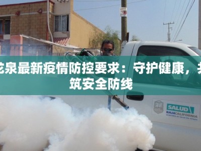 龙泉最新疫情防控要求：守护健康，共筑安全防线