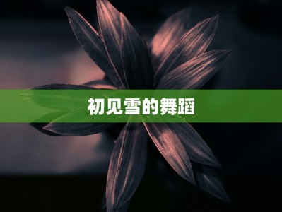 初见雪的舞蹈