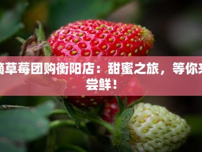 摘草莓团购衡阳店：甜蜜之旅，等你来尝鲜！