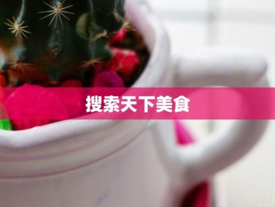 搜索天下美食
