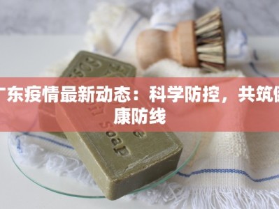 广东疫情最新动态：科学防控，共筑健康防线