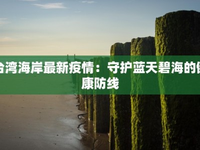 台湾海岸最新疫情：守护蓝天碧海的健康防线