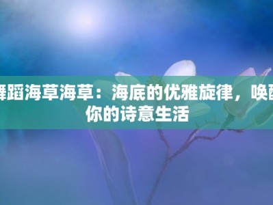 邛崃市韩版西服团购店：时尚韩风，尽享品质与实惠