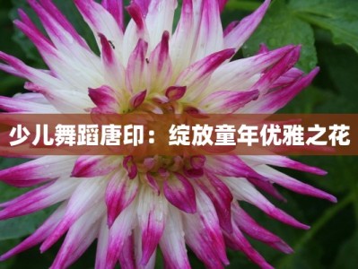 少儿舞蹈唐印：绽放童年优雅之花