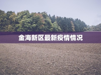 金海新区最新疫情情况