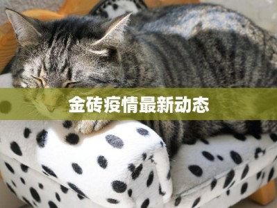 金砖疫情最新动态