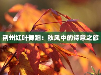 荆州红叶舞蹈：秋风中的诗意之旅