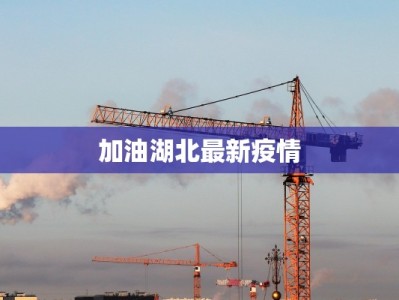 加油湖北最新疫情