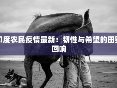 泉州内坑疫情最新消息