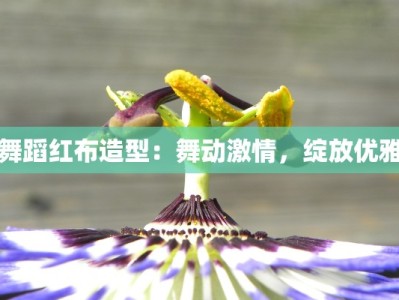 舞蹈红布造型：舞动激情，绽放优雅