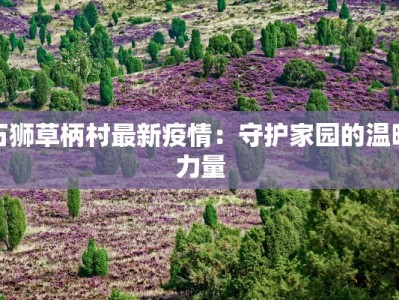 石狮草柄村最新疫情：守护家园的温暖力量
