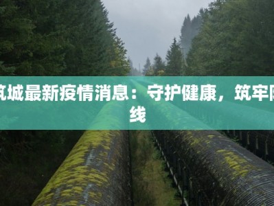筑城最新疫情消息：守护健康，筑牢防线