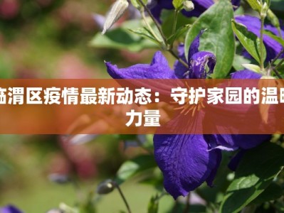 寿昌疫情最新情况通报