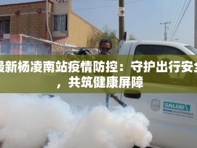 最新杨凌南站疫情防控：守护出行安全，共筑健康屏障