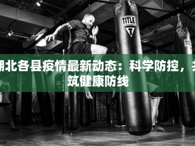 湖北各县疫情最新动态：科学防控，共筑健康防线