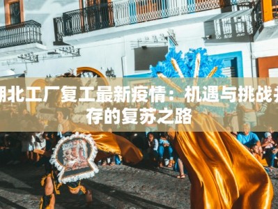 湖北工厂复工最新疫情：机遇与挑战并存的复苏之路