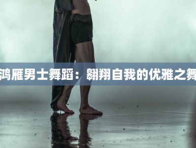 鸿雁男士舞蹈：翱翔自我的优雅之舞