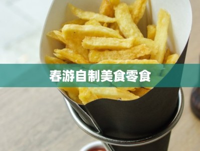 春游自制美食零食