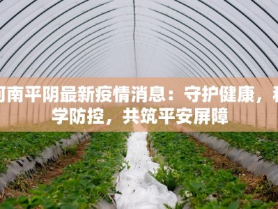 枣强疫情最新公告