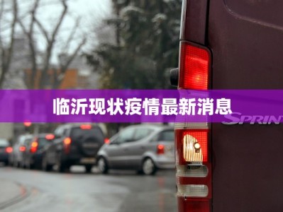 临沂现状疫情最新消息