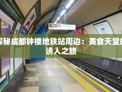 探秘成都钟楼地铁站周边：美食天堂的诱人之旅