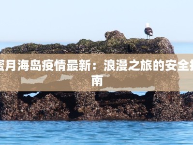 蜜月海岛疫情最新：浪漫之旅的安全指南