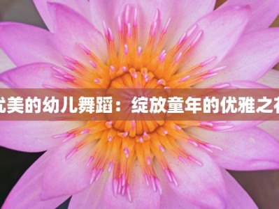 优美的幼儿舞蹈：绽放童年的优雅之花