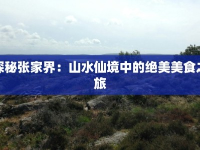 探秘张家界：山水仙境中的绝美美食之旅