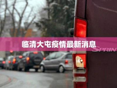 临清大屯疫情最新消息